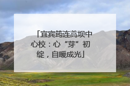 宜宾筠连蒿坝中心校：心“芽”初绽，自暖成光